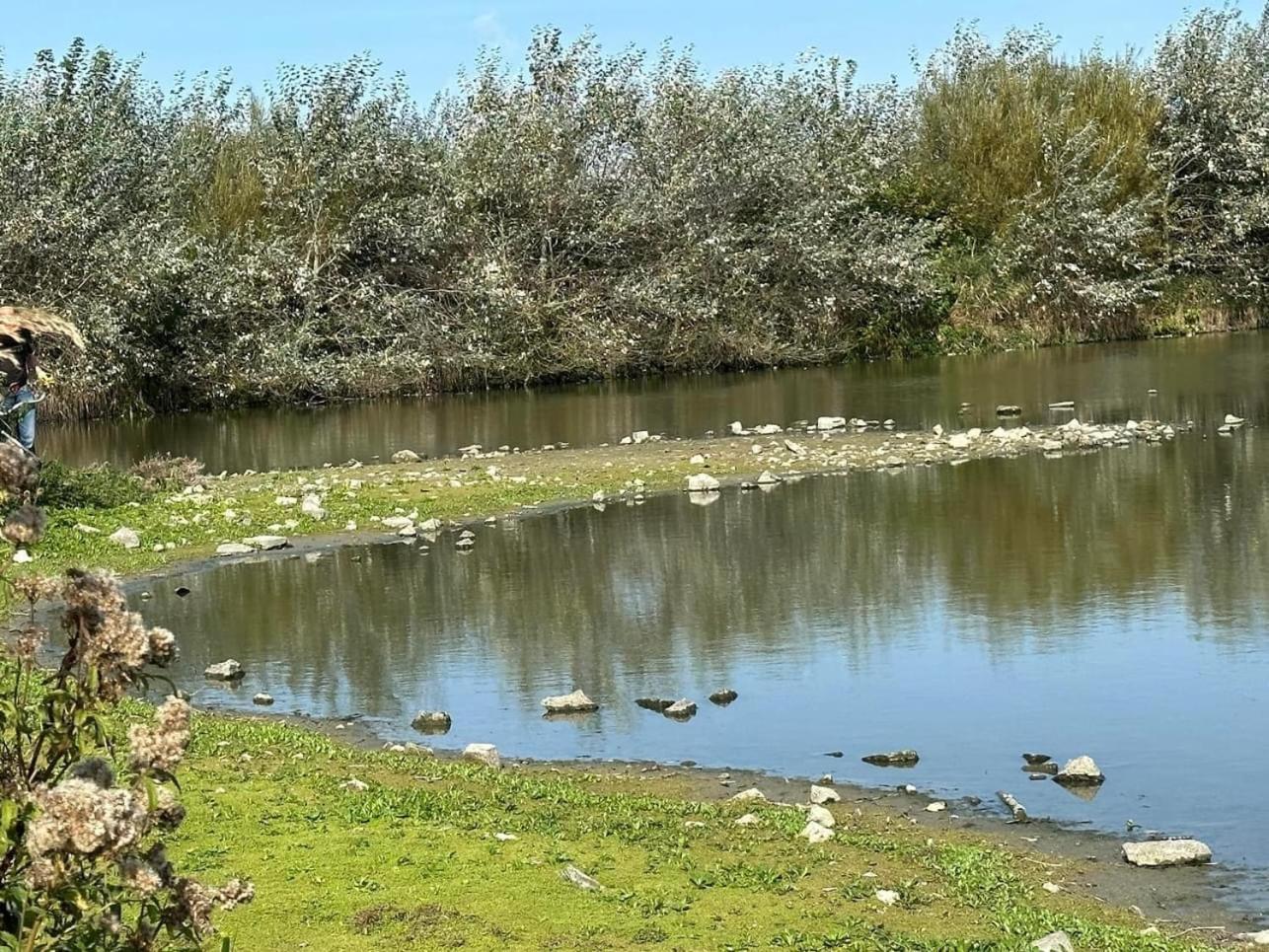 Hotel Les Mouettes Wenduine Dış mekan fotoğraf