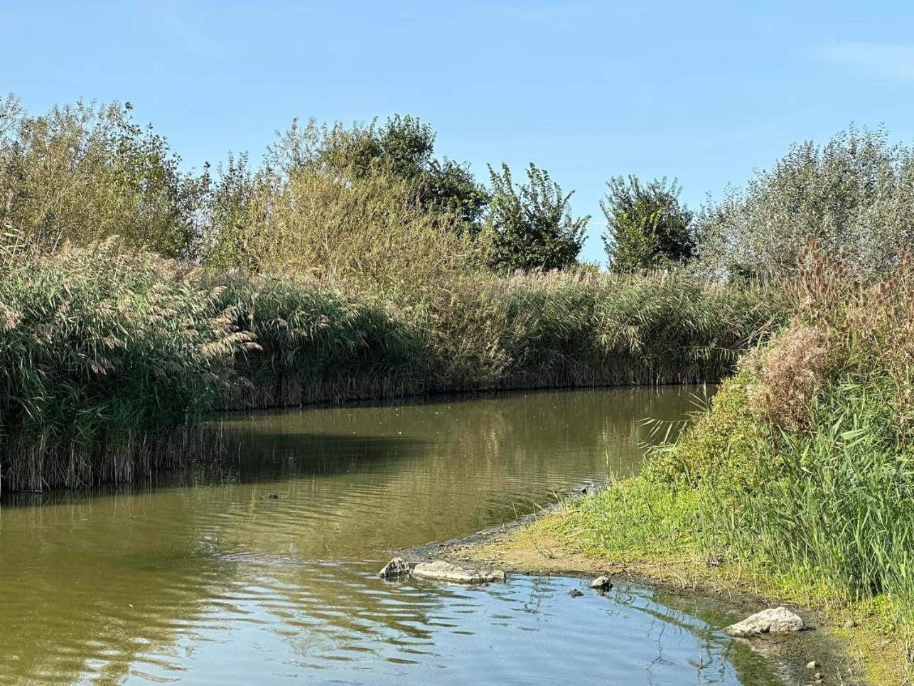 Hotel Les Mouettes Wenduine Dış mekan fotoğraf