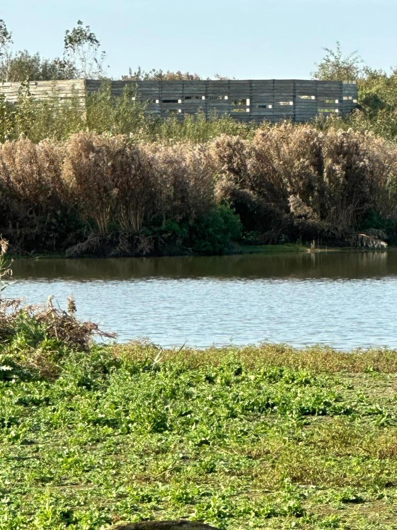 Hotel Les Mouettes Wenduine Dış mekan fotoğraf