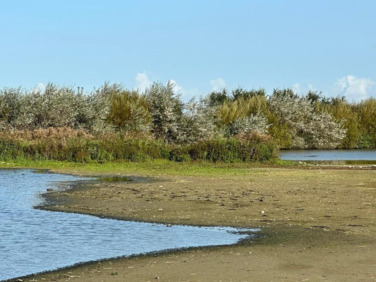 Hotel Les Mouettes Wenduine Dış mekan fotoğraf