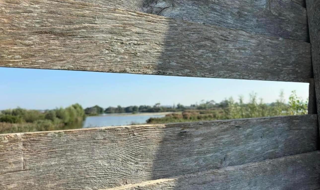Hotel Les Mouettes Wenduine Dış mekan fotoğraf
