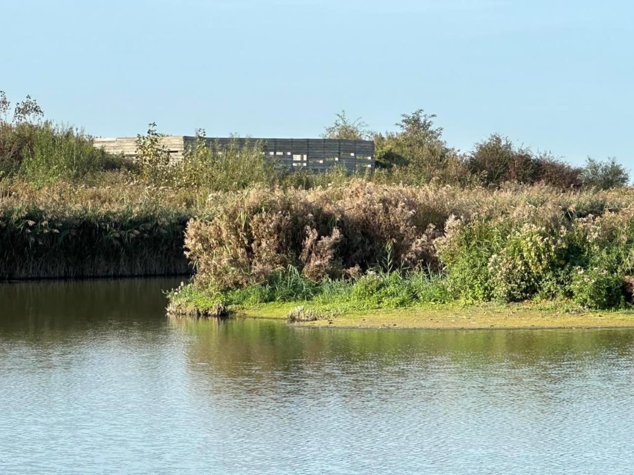 Hotel Les Mouettes Wenduine Dış mekan fotoğraf
