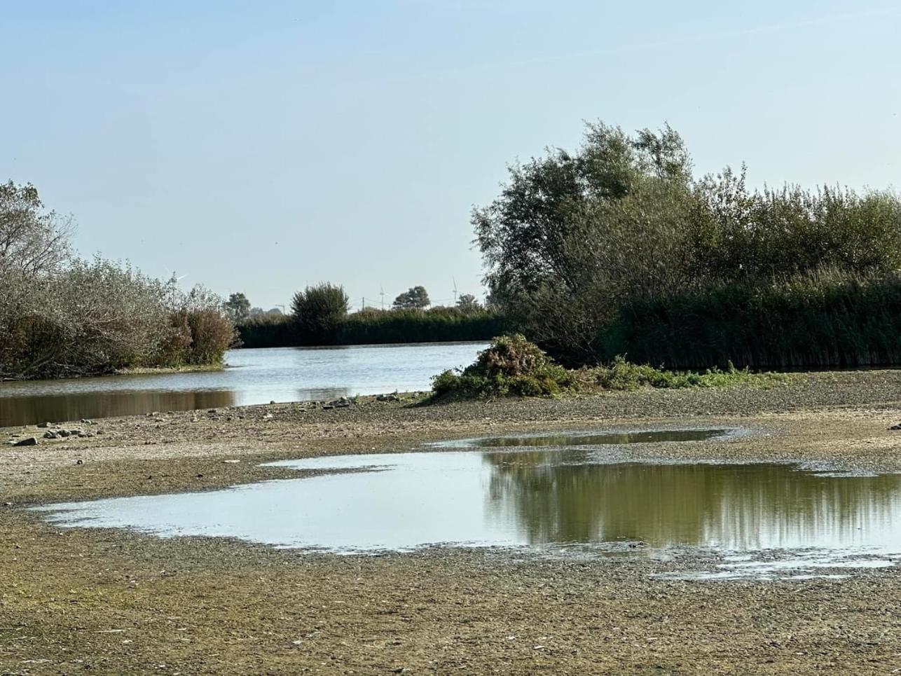 Hotel Les Mouettes Wenduine Dış mekan fotoğraf
